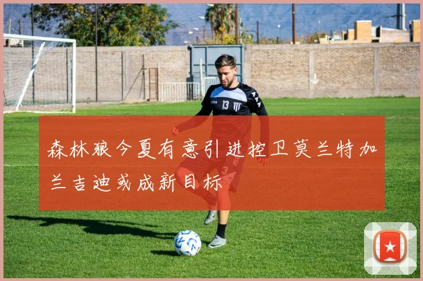 森林狼今夏有意引进控卫莫兰特加兰吉迪或成新目标