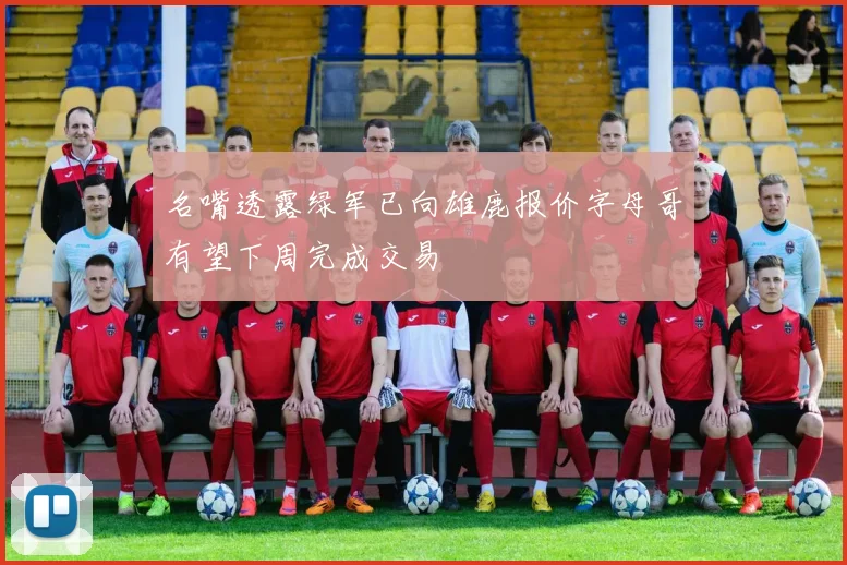 名嘴透露绿军已向雄鹿报价字母哥有望下周完成交易
